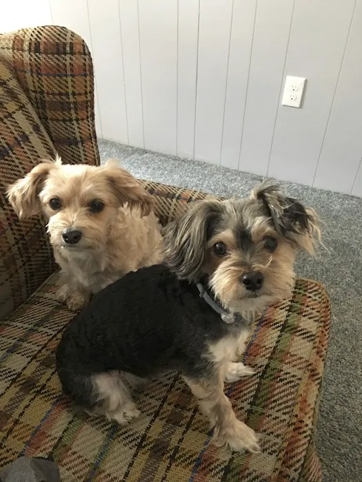 Brodheadsville Veterinary Clinic 4