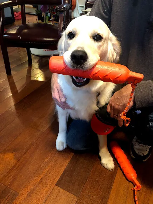 Kanyon's Golden Veterinary Care, LLC 12