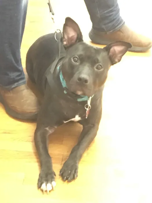 Best Friends Veterinary Clinic 7