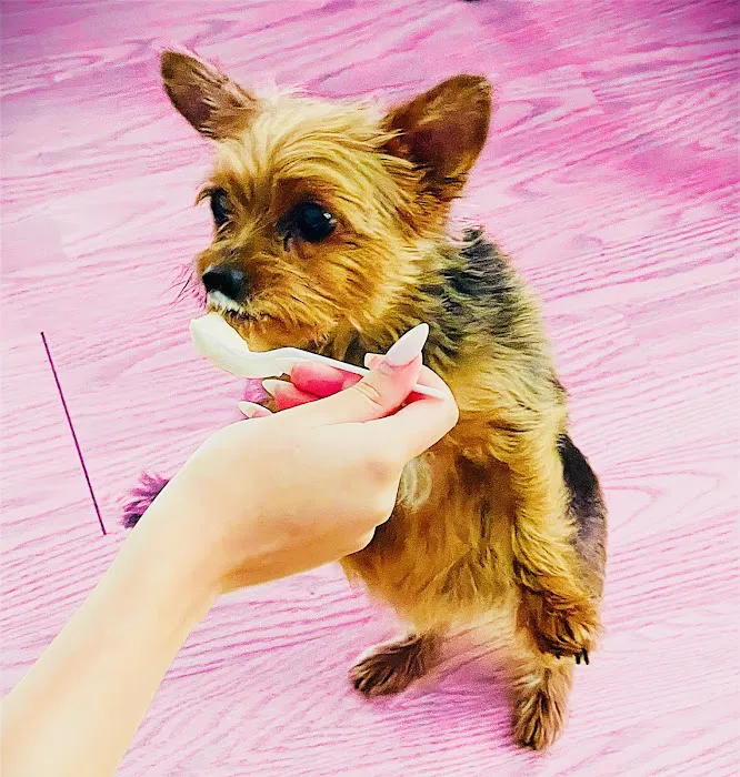 Best Friends Veterinary Clinic 2