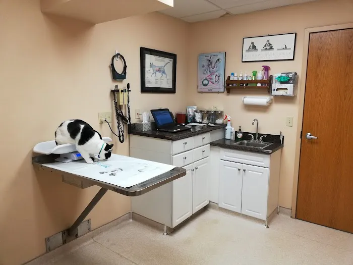 Leck Veterinary 12