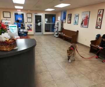 Leck Veterinary