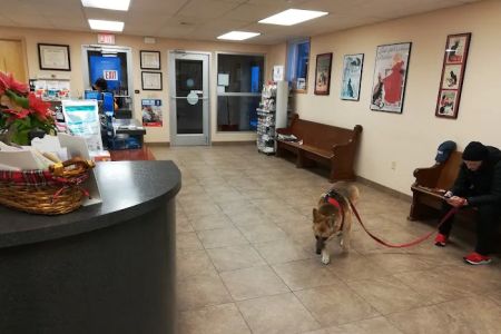 Leck Veterinary