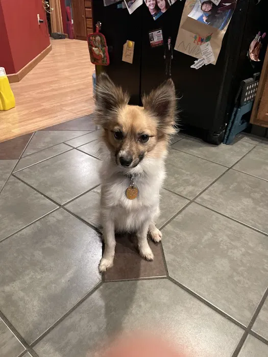 Stroudsburg Animal Hospital 5