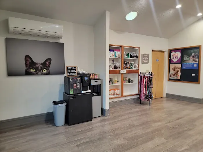 VCA AVH Animal Hospital 4