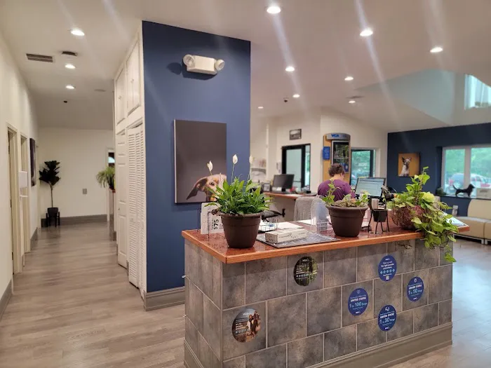 VCA AVH Animal Hospital 3