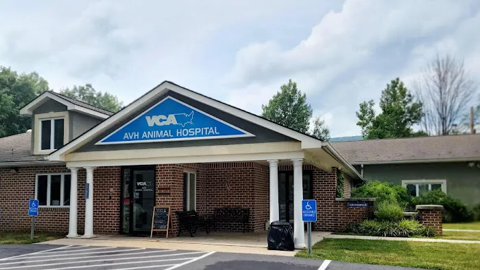 VCA AVH Animal Hospital 6