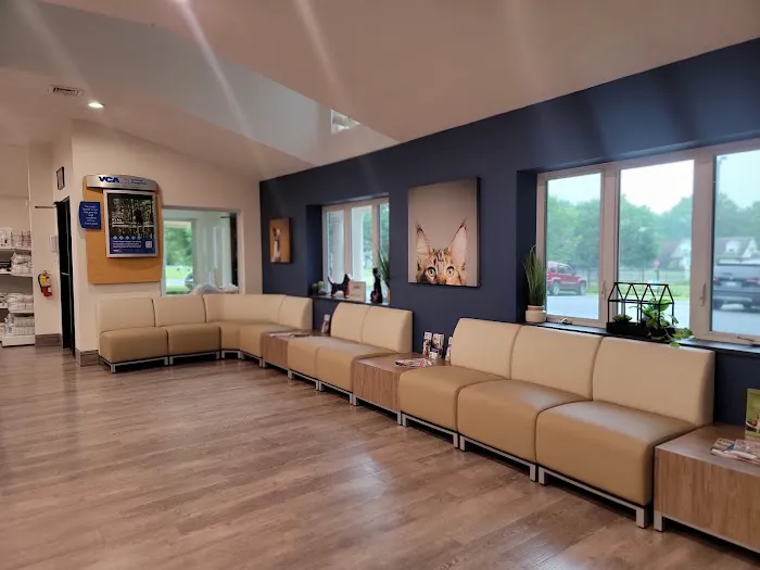 VCA AVH Animal Hospital 9