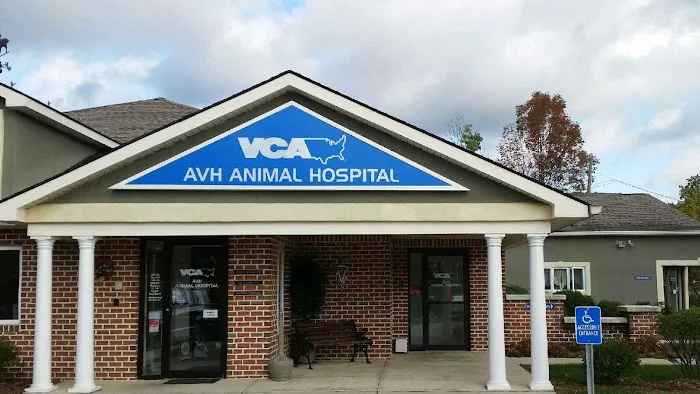 VCA AVH Animal Hospital 8