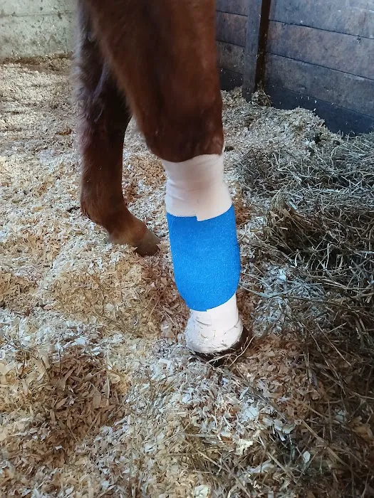 Cross River Veterinary Service 12