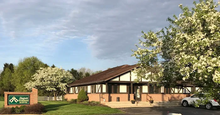 Sheffield Veterinary Hospital 10