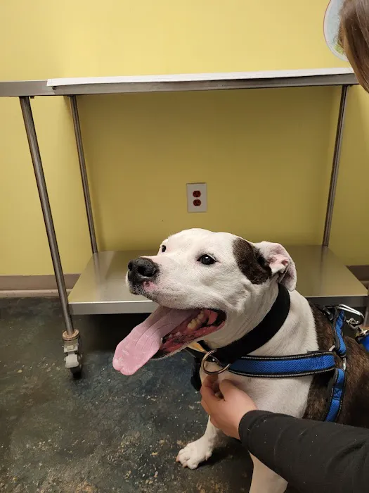 Sunnyside Veterinary Clinic 4