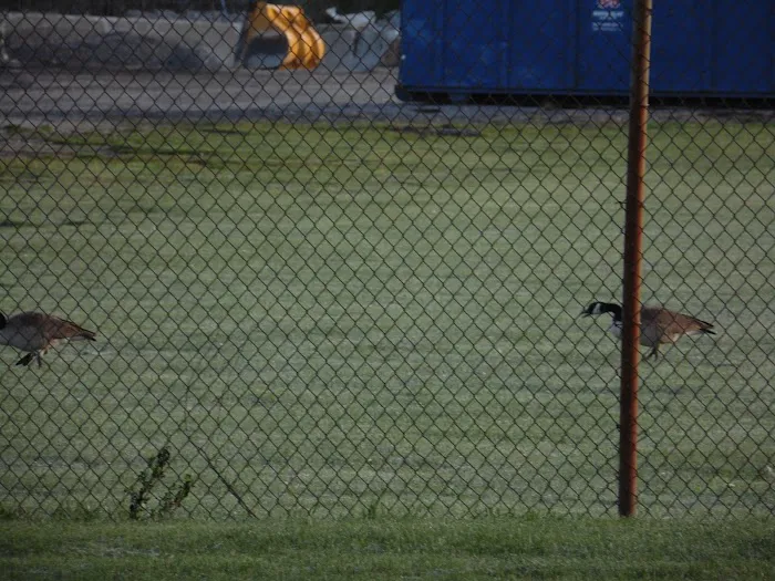 Hope Spay Neuter Clinic 12