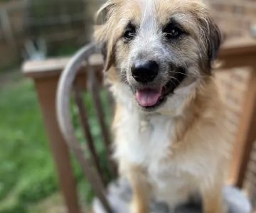 Hope Spay Neuter Clinic