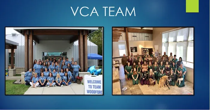 VCA Woodford Animal Hospital 12