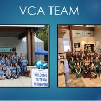 VCA Woodford Animal Hospital ico