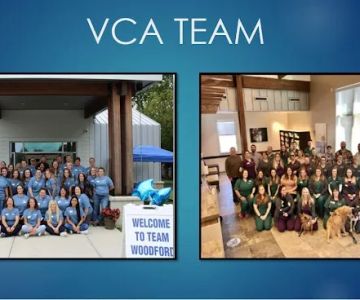VCA Woodford Animal Hospital