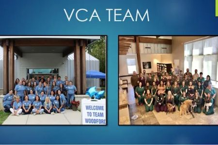 VCA Woodford Animal Hospital