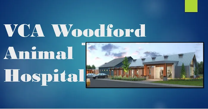 VCA Woodford Animal Hospital 12