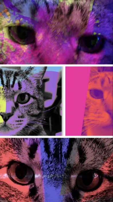 House-Call Veterinary Service 5