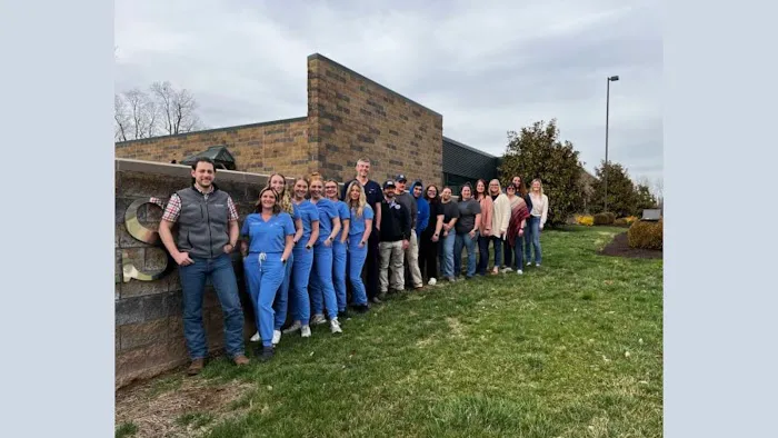Bluegrass Equine Surgery 1