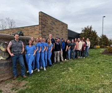 Bluegrass Equine Surgery
