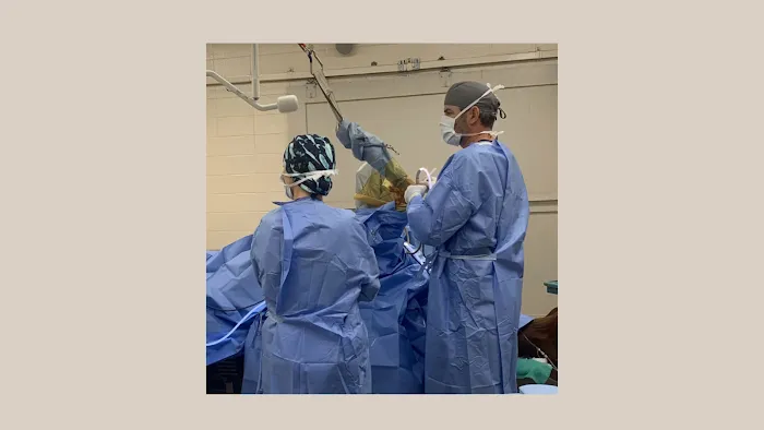 Bluegrass Equine Surgery 4