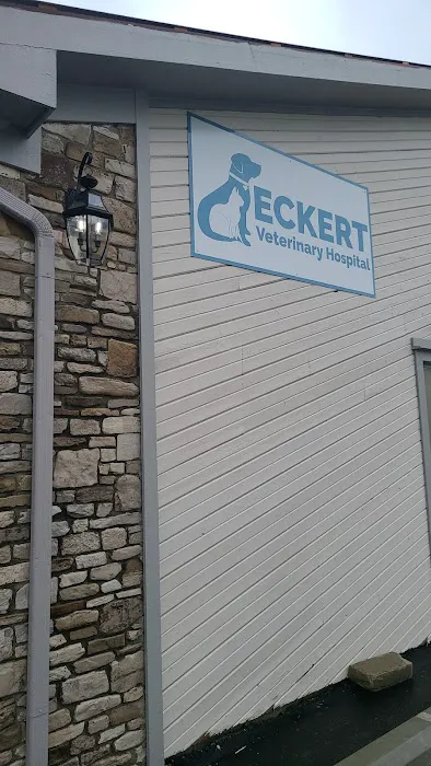 Eckert Veterinary Hospital 4