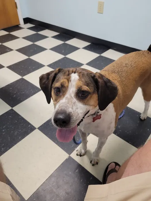 Masterson Animal Clinic 2