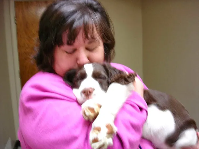 Masterson Animal Clinic 1