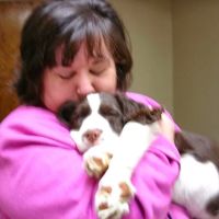 Masterson Animal Clinic ico