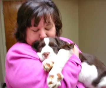 Masterson Animal Clinic