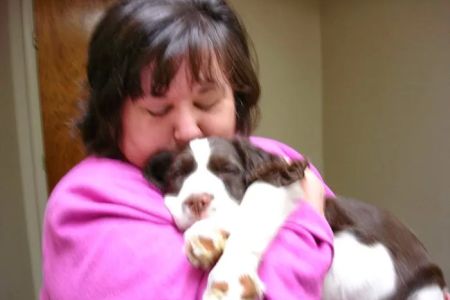 Masterson Animal Clinic