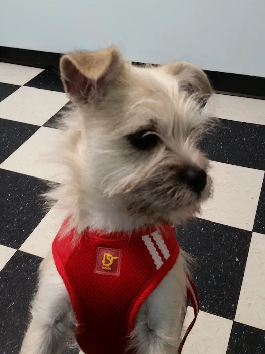 Masterson Animal Clinic 6