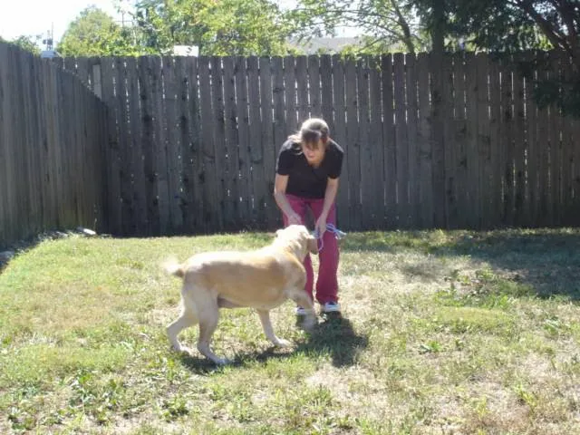 Masterson Animal Clinic 4