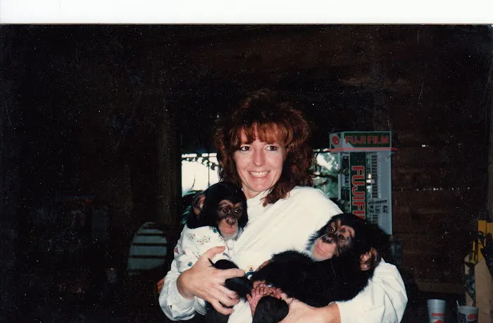 All Creatures Great & Small Animal Hospital 12