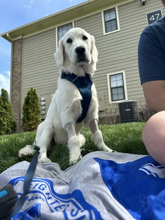 Bluegrass Veterinary Specialists + Animal Emergency 10