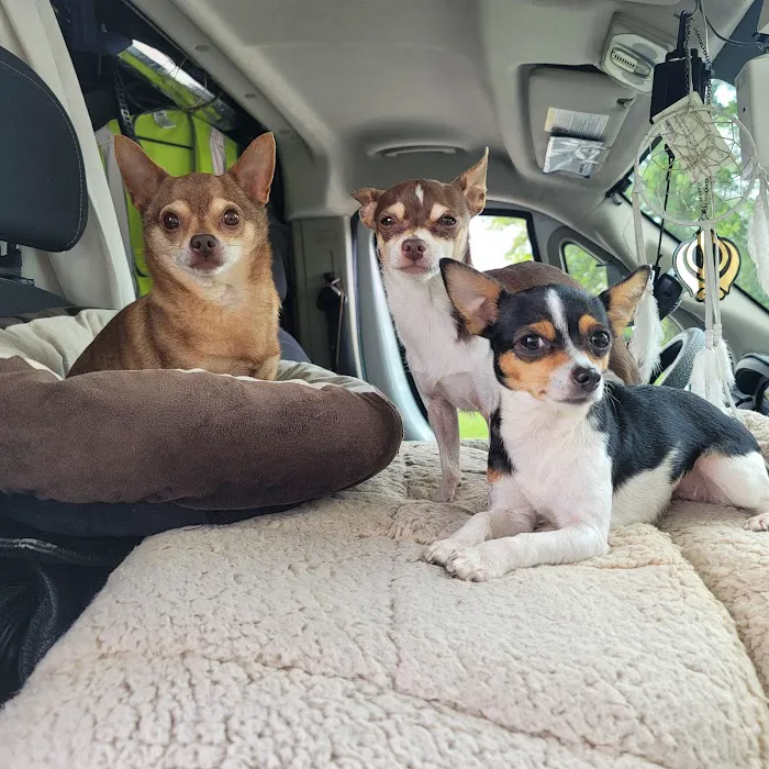 Bluegrass Veterinary Specialists + Animal Emergency 5