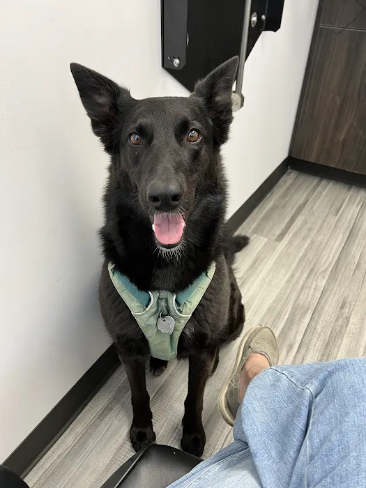 Bluegrass Veterinary Specialists + Animal Emergency 4