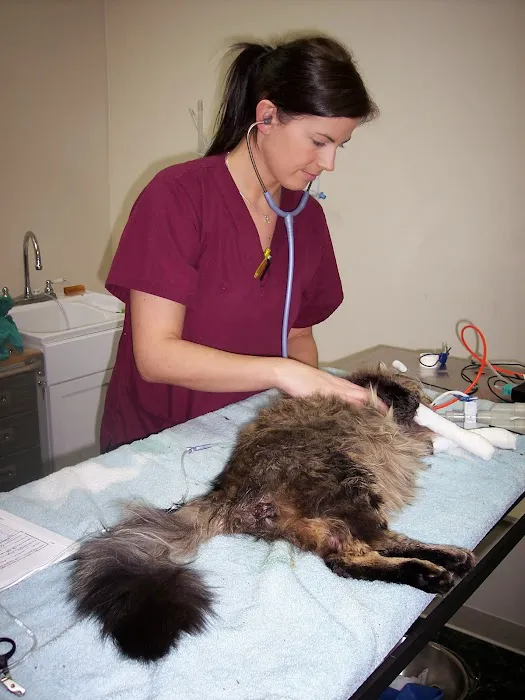 Animal Clinic Leestown Road 10