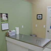Animal Clinic Leestown Road ico