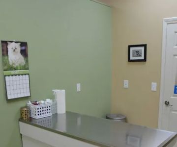 Animal Clinic Leestown Road
