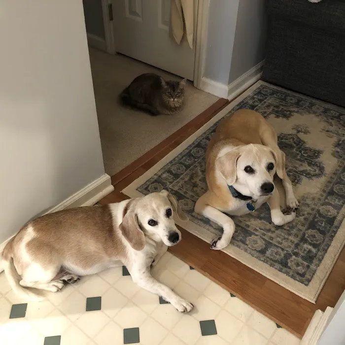 Commonwealth Animal Care 4