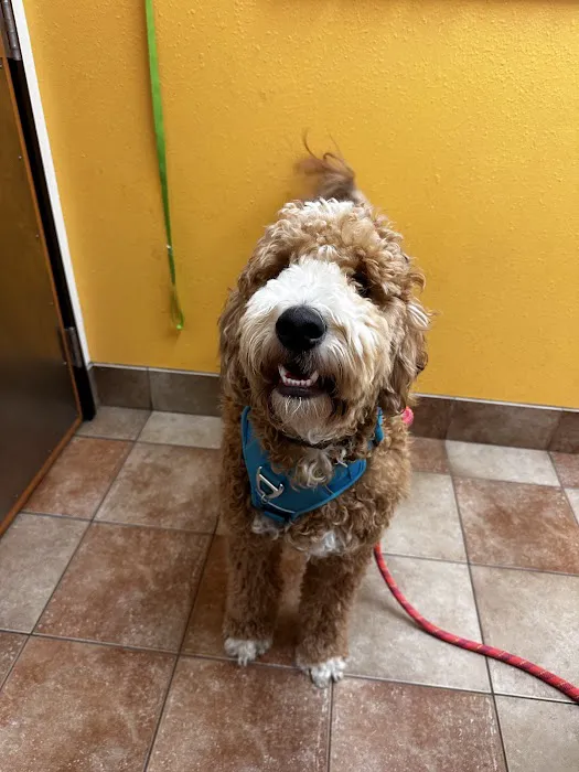 Banfield Pet Hospital 12