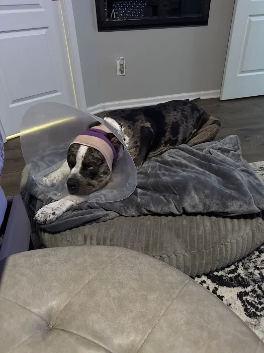 Banfield Pet Hospital 12