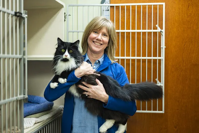 Brighton Animal Clinic 7