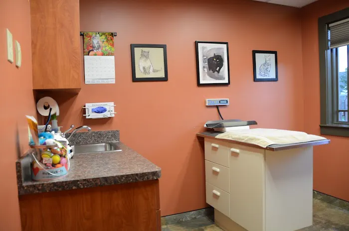 Brighton Animal Clinic 4