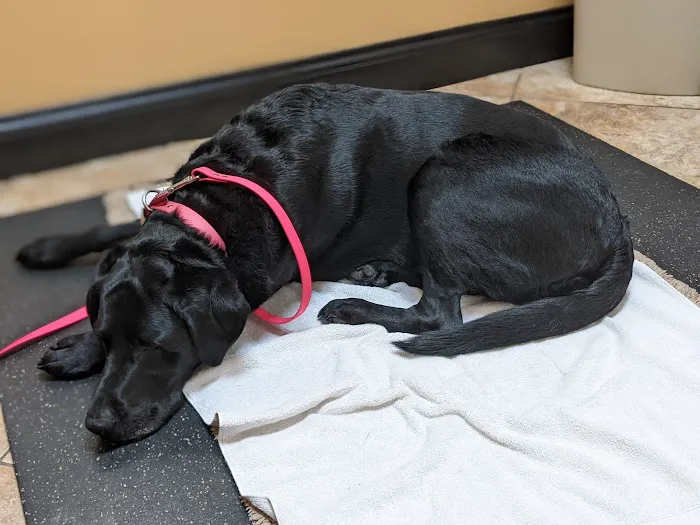 Veterinary Wellness Center 3