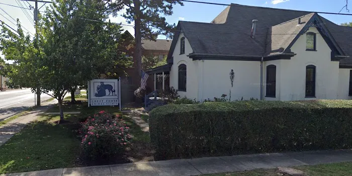 Chevy Chase Animal Clinic 4