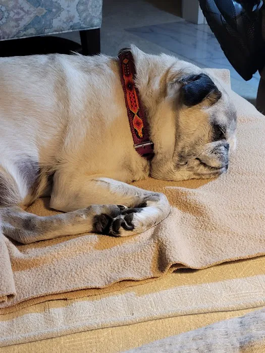 Chevy Chase Animal Clinic 6